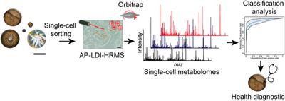 Single-cell metabolome profiling for phenotyping parasitic diseases in phytoplankton